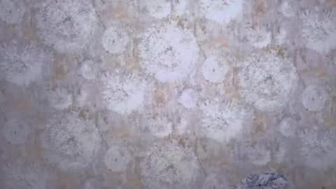 Milia online show from 05-28-26, 05:10