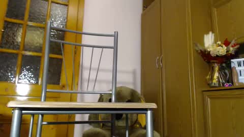 Snapshot of milk_and_hon3y chatting on 12-04-24, 06:11 Im  to see you here Pvts are open  I love patterns soo much online show from 12-04-24, 06:11