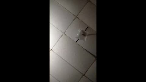 Snapshot of miloanj chatting on 11-07-25, 04:45 miloanj online show from 11-07-25, 04:45