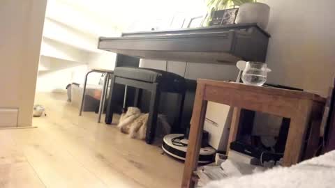 Snapshot of milu_curly chatting on 03-05-25, 03:40 Milu online show from 03-05-25, 03:40