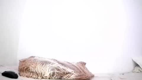 mina smith online show from 03-24-26, 03:39