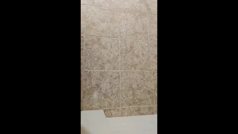 mineiro1514 online show from 04-01-26, 02:34