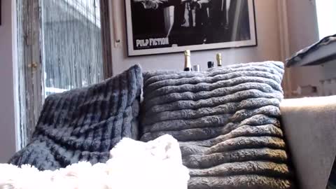 Ben online show from 02-10-26, 09:02