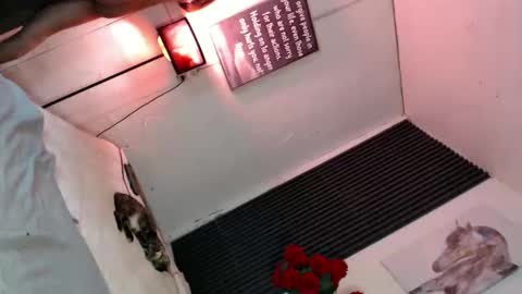 miss_bella69 online show from 11-05-25, 12:10