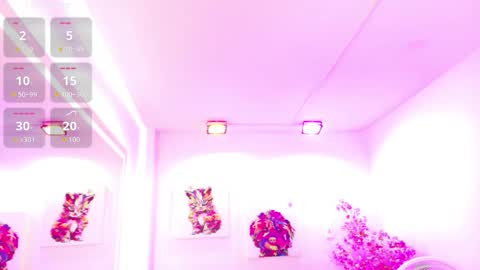 Melanie online show from 03-21-26, 12:21