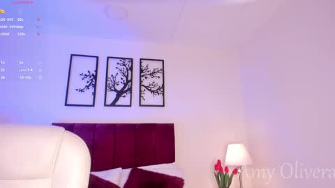 Snapshot of miss_sidney chatting on 01-21-25, 11:35 Amy Olivera online show from 01-21-25, 11:35