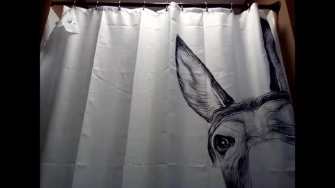 MissEeva online show from 12-05-24, 06:44