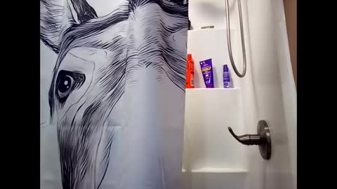 MissEeva online show from 02-26-25, 03:10