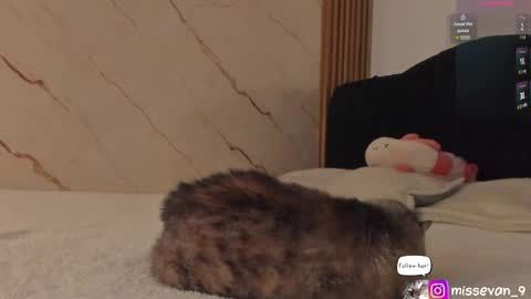 Sami Evan online show from 04-22-26, 12:39