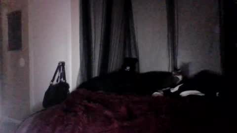 missgospel online show from 02-27-25, 02:21