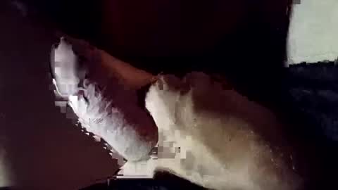 9POUNDHAMMER online show from 04-27-26, 05:16