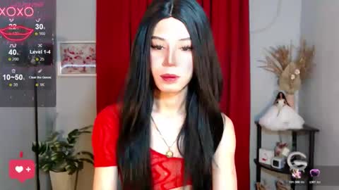 Stella online show from 11-17-25, 07:36