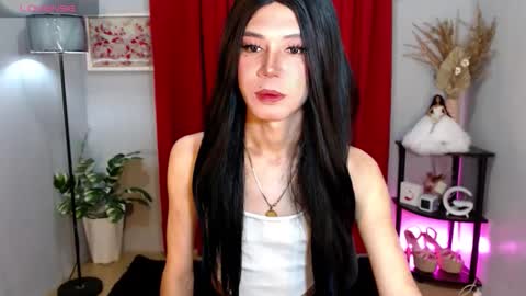 Stella online show from 11-21-25, 08:02