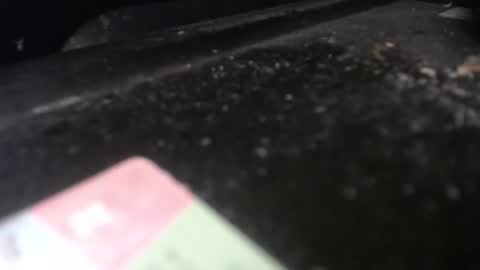 Calipso online show from 04-20-26, 12:30