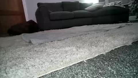 misterycouple12 online show from 12-23-24, 12:25