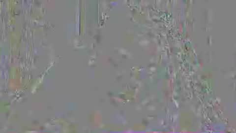 Mistress Mystii online show from 07-03-26, 03:02