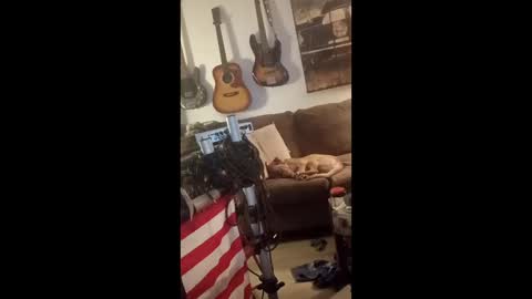 BobbyMitchGa online show from 04-29-26, 06:06