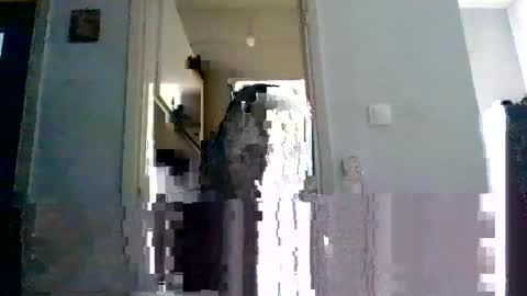 mmpempis81 online show from 02-22-25, 07:12