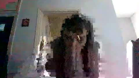 mmpempis81 online show from 02-25-25, 06:47