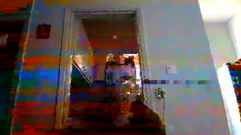 mmpempis81 online show from 03-09-25, 04:11