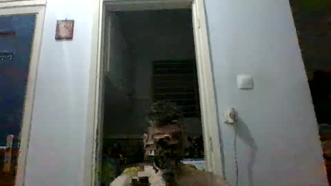 mmpempis81 online show from 09-28-25, 07:08