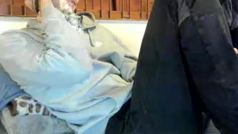 DigBreed online show from 11-09-25, 12:31