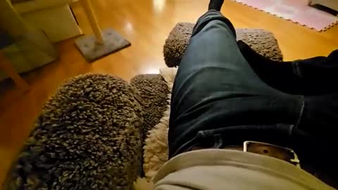 Snapshot of mojo28112 chatting on 11-25-25, 06:19 mojo28112 online show from 11-25-25, 06:19