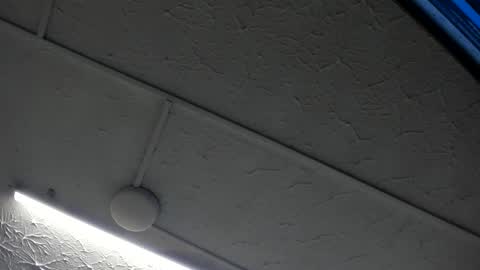 Hey Guys  Im Mollie online show from 01-15-26, 12:10