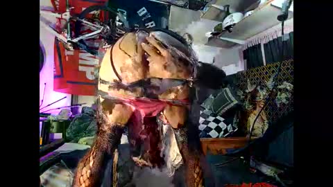 moneyballbaggin online show from 10-15-25, 11:16