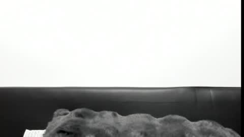 Snapshot of monicacure chatting on 10-27-25, 03:16 monicacure online show from 10-27-25, 03:16