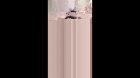 shirybeb online show from 01-08-26, 12:29