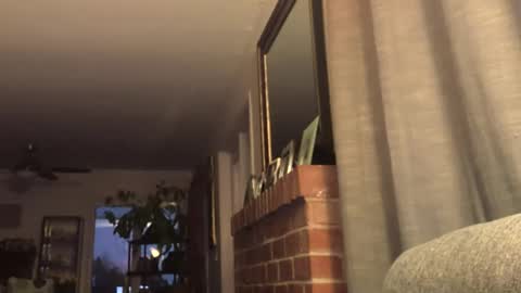 Monkee Dance online show from 02-22-25, 02:17