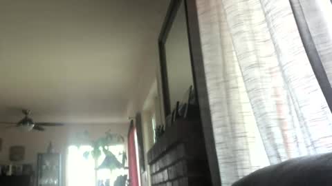 Monkee Dance online show from 03-12-25, 05:28