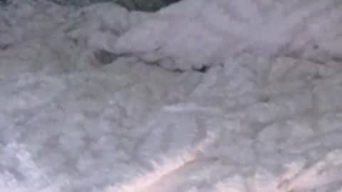 montydxxx2 online show from 02-05-26, 12:26