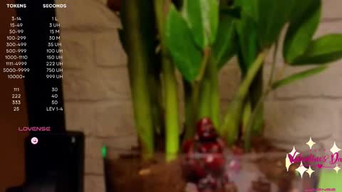 Luna  online show from 02-14-25, 04:20