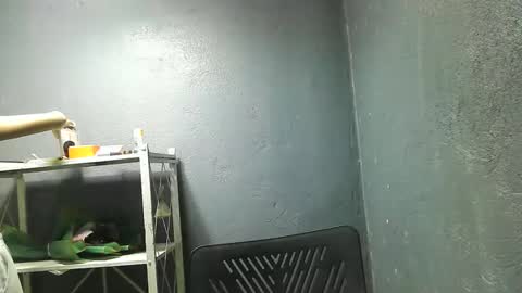 morenang_pinay online show from 11-23-25, 07:41