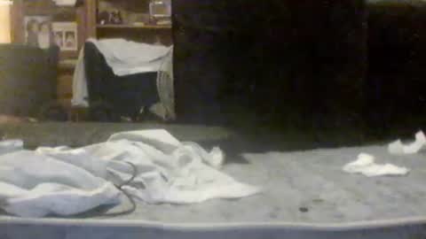 Snapshot of morenikoo26 chatting on 08-03-26, 11:26 morenikoo26 online show from 08-03-26, 11:26