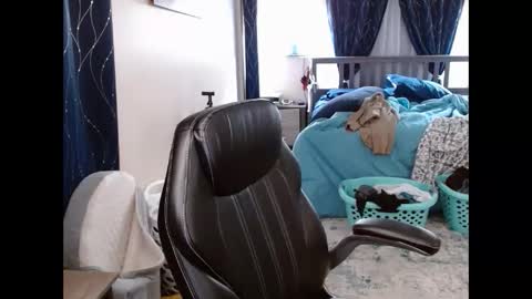 mouse_finbar online show from 03-07-26, 04:09