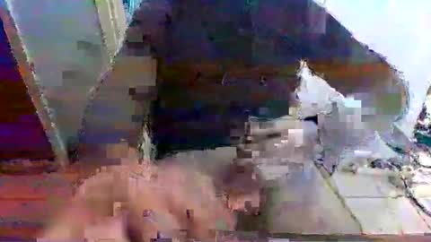 mppempis81 online show from 11-15-25, 07:27