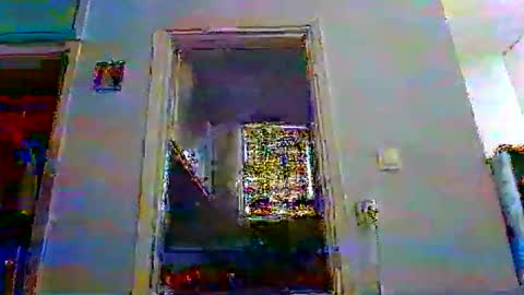 mppempis81 online show from 12-05-25, 06:11