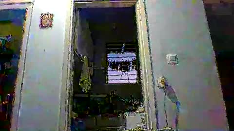 mppempis81 online show from 01-14-26, 03:50