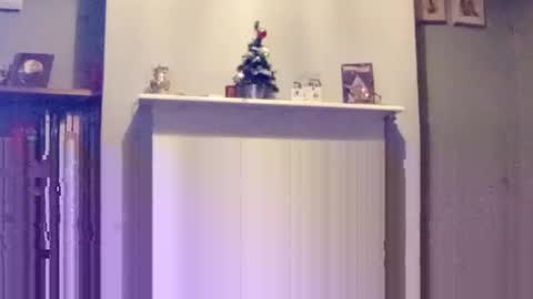 Snapshot of mr_i_ chatting on 12-17-24, 08:10 mr_i_ online show from 12-17-24, 08:10