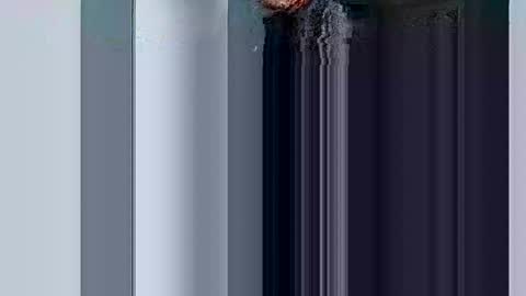 Snapshot of mr_i_ chatting on 03-10-25, 08:37 mr_i_ online show from 03-10-25, 08:37