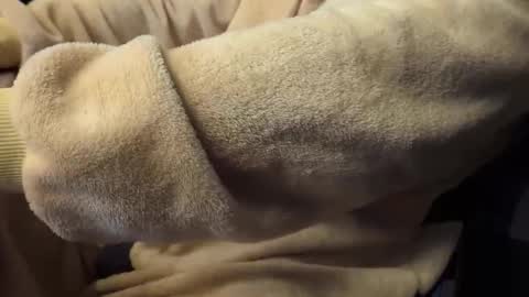 Snapshot of mrdelapampa chatting on 11-26-25, 11:55 mrdelapampa online show from 11-26-25, 11:55