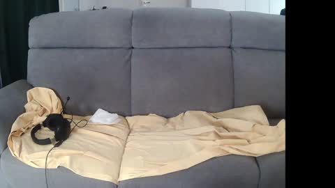 Snapshot of mreurope69 chatting on 12-05-24, 11:07 I am Hardy online show from 12-05-24, 11:07