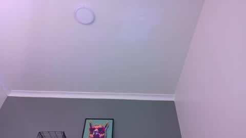 Snapshot of mrfox__ chatting on 05-16-26, 12:29 Mr Fox online show from 05-16-26, 12:29