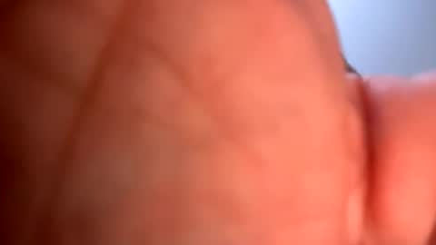 mrfrankfuckforfree online show from 01-19-25, 05:26