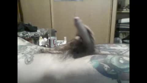 Snapshot of mrfumao chatting on 06-08-26, 06:14 mrfumao online show from 06-08-26, 06:14