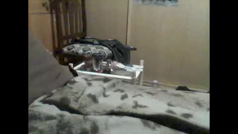 Snapshot of mrfumao chatting on 06-09-26, 12:33 mrfumao online show from 06-09-26, 12:33