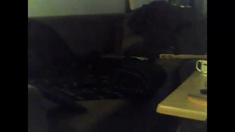 Nikola online show from 01-12-25, 12:01